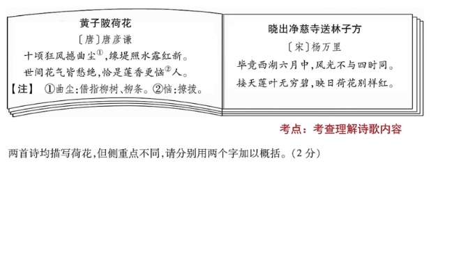 2026版全国版语文中考真题分类训练重难题视频